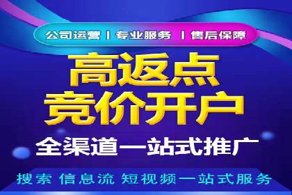 SEM代理服务：案例对比，效果哪家更胜一筹